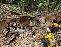 Polres Haltim Berhasil Ringkus Lima Penambang Emas Ilegal