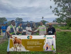 Idul Adha Tahun Ini, ANTAM Group Salurkan 36 Ekor Hewan Qurban