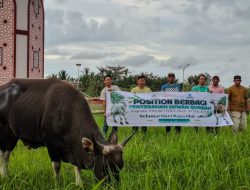 PT Position Berbagi, Tahun Ini Salurkan 6 Ekor Hewan Qurban