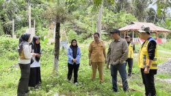 Bupati Tinjau Rencana Pebangunan Dapur Layanan MBG di Kecamatan Wasile Utara