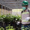 PT SDA Tegaskan Komitmen Perlindungan Lingkungan Dan Pengawasan Berkelanjutan di Wilayah Operasional