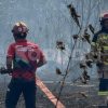 Kolaborasi ANTAM, TNI dan Warga, Kebakaran Lahan di Tongata Haltim Berhasil Dipadamkan