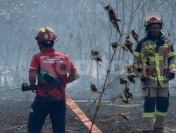 Kolaborasi ANTAM, TNI dan Warga, Kebakaran Lahan di Tongata Haltim Berhasil Dipadamkan