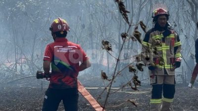 Kolaborasi ANTAM, TNI dan Warga, Kebakaran Lahan di Tongata Haltim Berhasil Dipadamkan